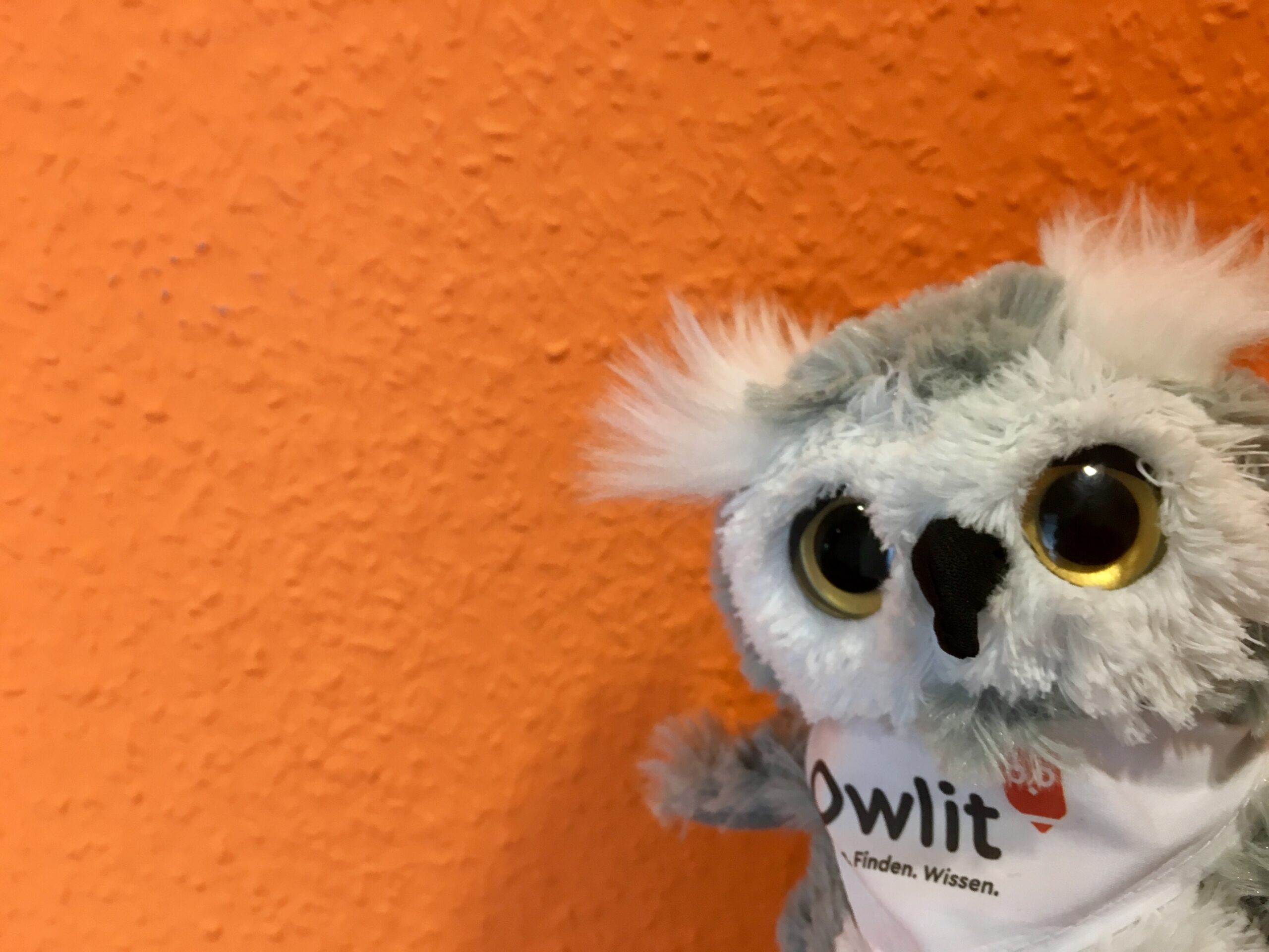 Hey Suri Owlit Online Bibliothek